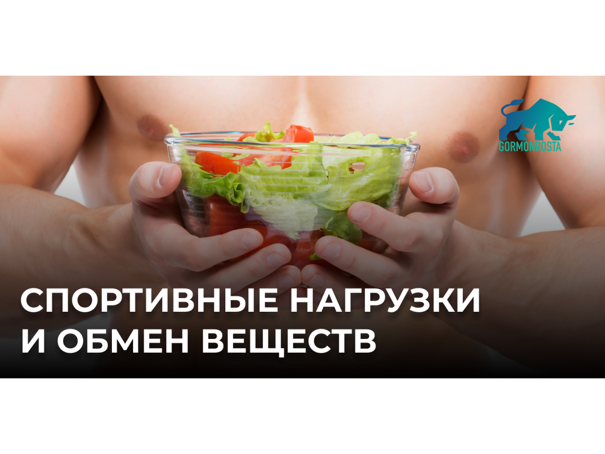 Спортивные нагрузки и обмен веществ