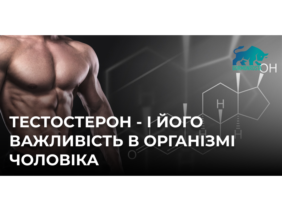 Тестостерон - і його важливість в організмі чоловіка